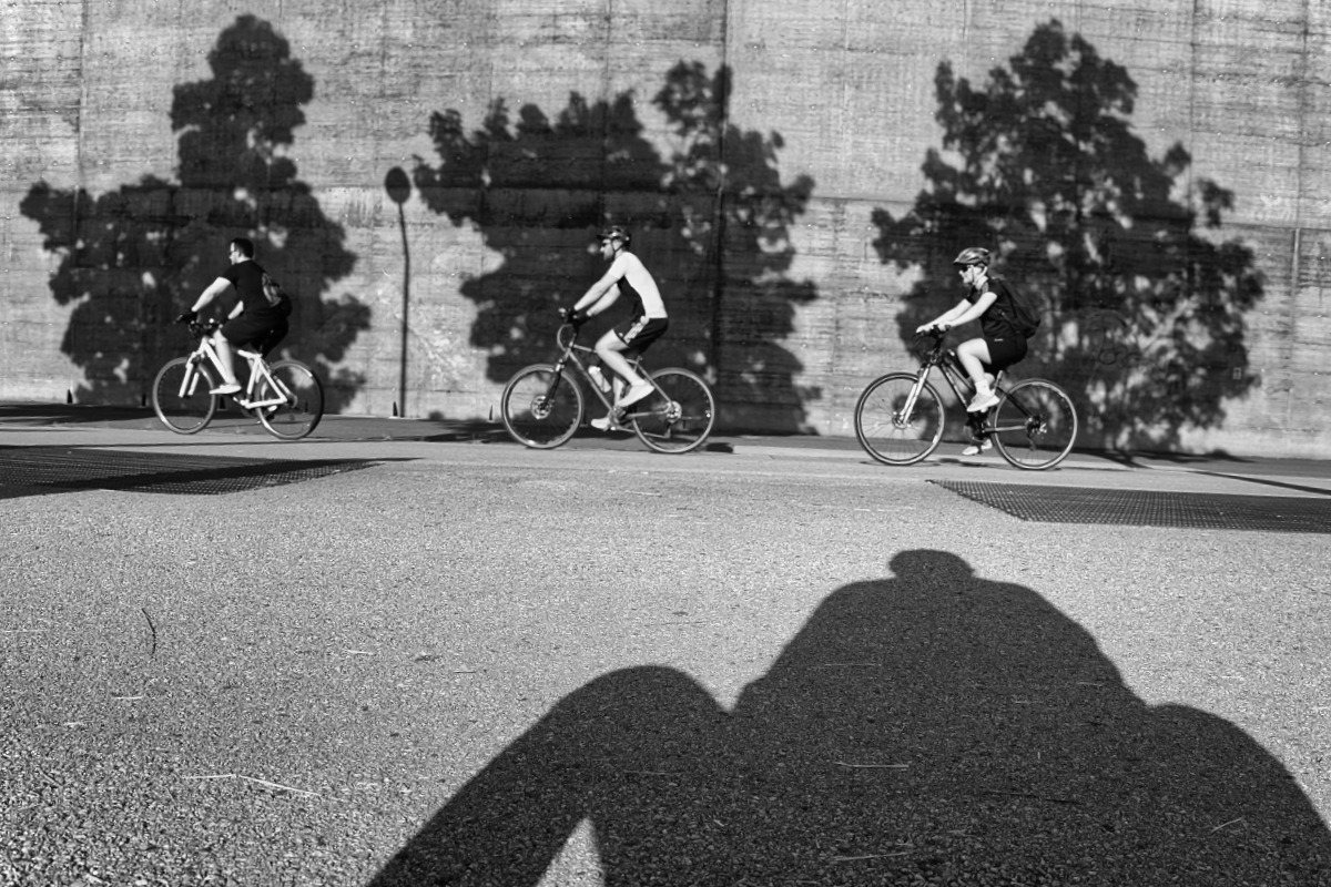 Bewegung. Synchronität.