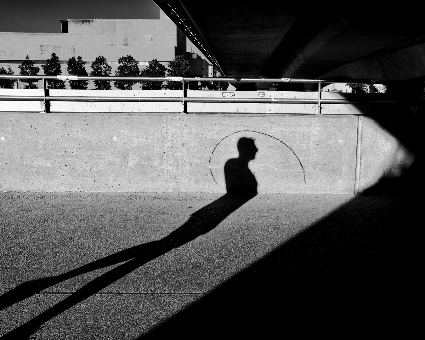 Silhouette, Licht und Schatten sind die Hauptdarsteller.